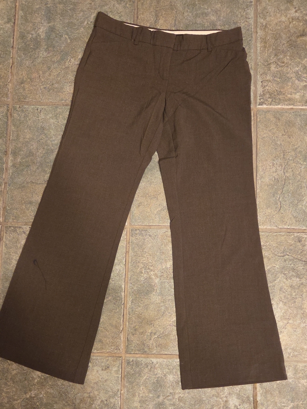 Apostrophe Women's Brown Boot-Cut Dress Pants
